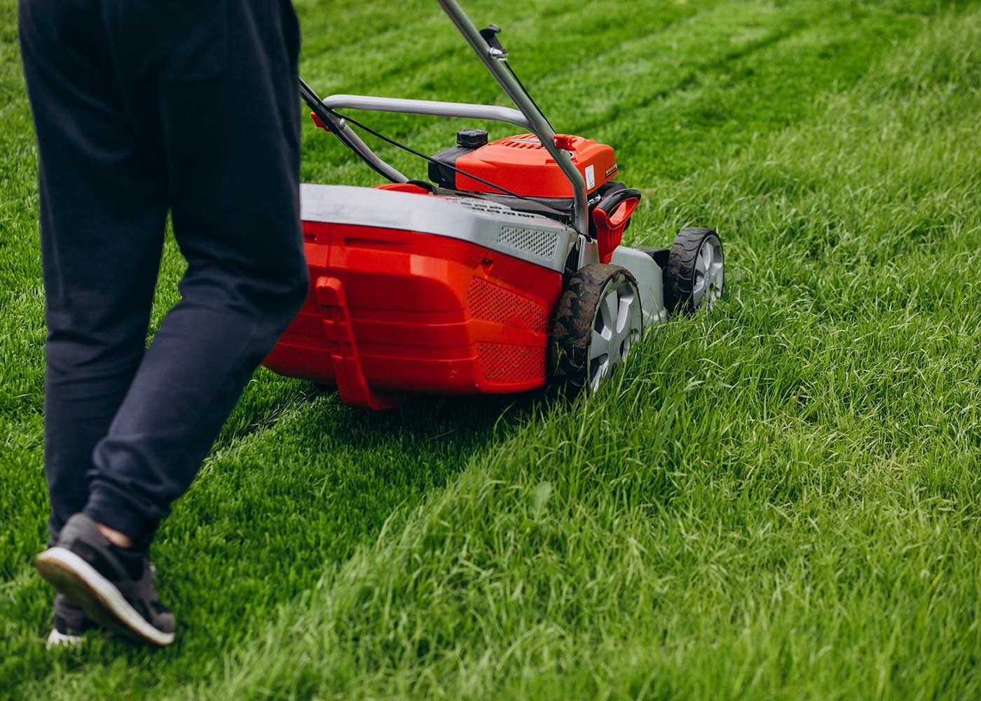 Best Lawn Mower for Hills Reviews and Guide for Buyers