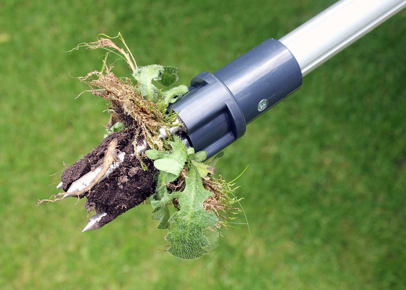 Best Weed Puller For Your Garden: Reviews & Buying Guide