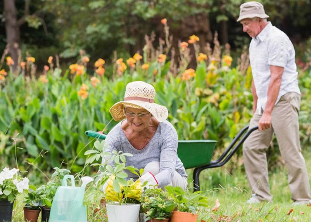 Gardening Tips for Elders