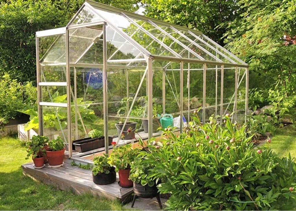Greenhouse Gardening in 2022: A Beginners Guide