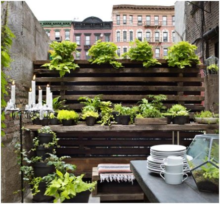 A Privacy Wall with a Vertical Garden