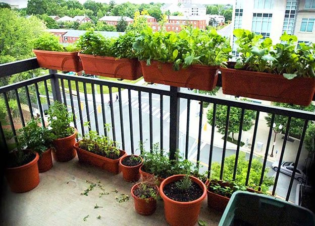 Balcony Railing Hangers for Vegetables and Herbs