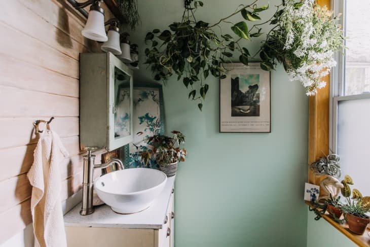 Kitchen and Bathroom Garden