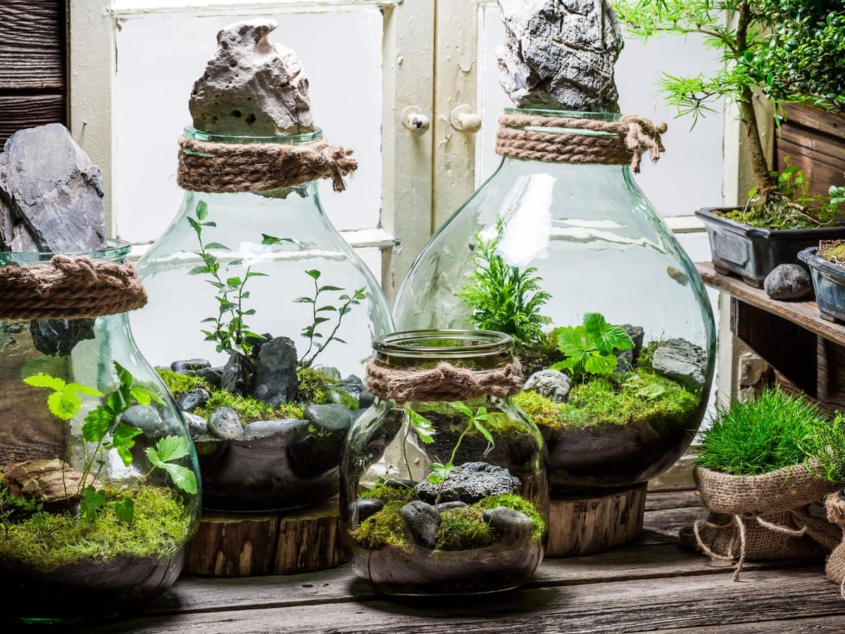 Terrarium Garden