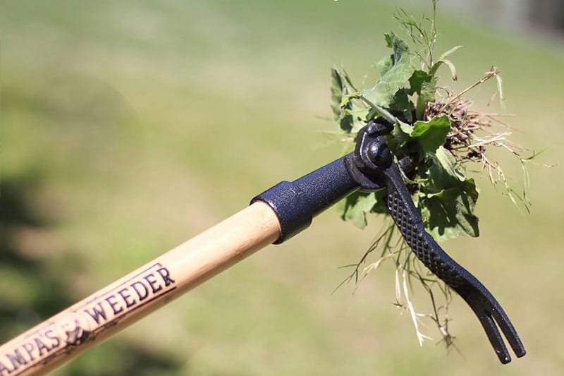 Grampa’s Weeder