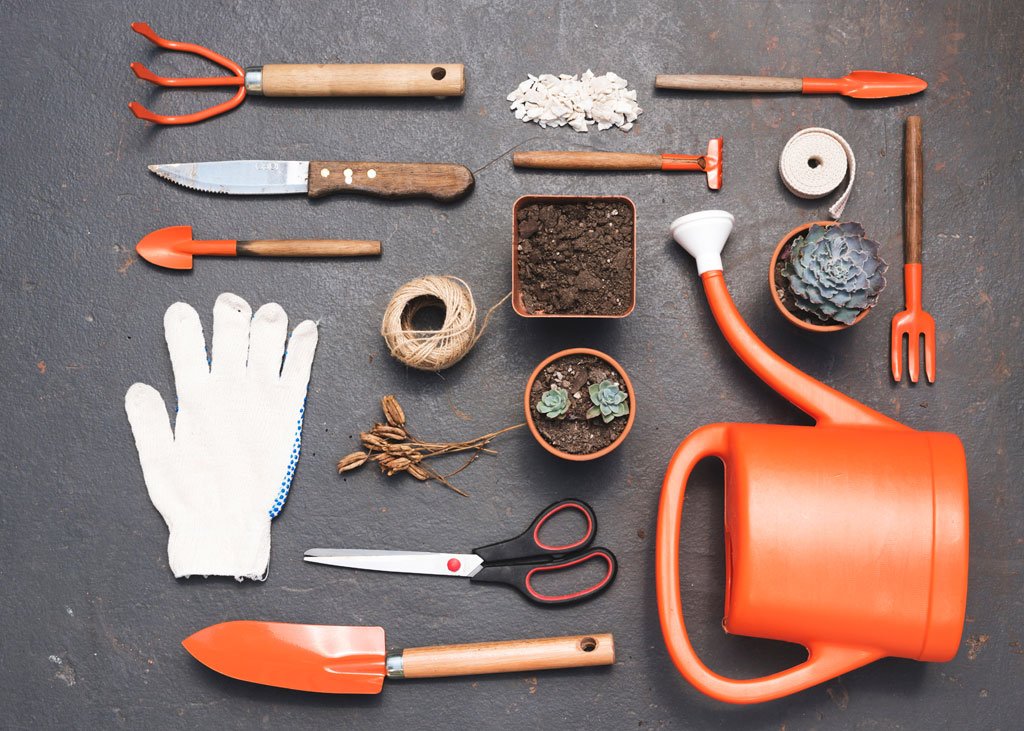 Top 10 Manual Weeders for Organic Gardens