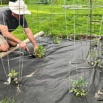 How to Install Landscaping Fabric Correctly