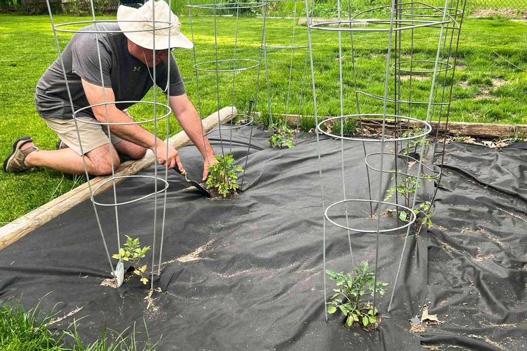 How to Install Landscaping Fabric Correctly