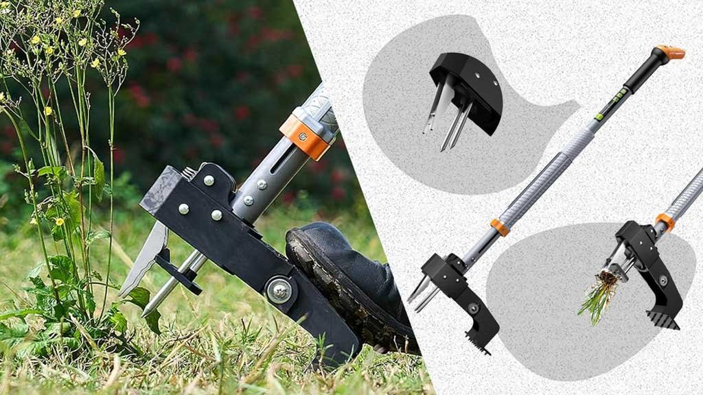 How to Remove Weeds Deep: Weed Puller Techniques
