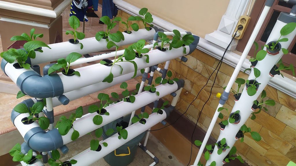 How to Calculate GPH for Your Hydroponic System